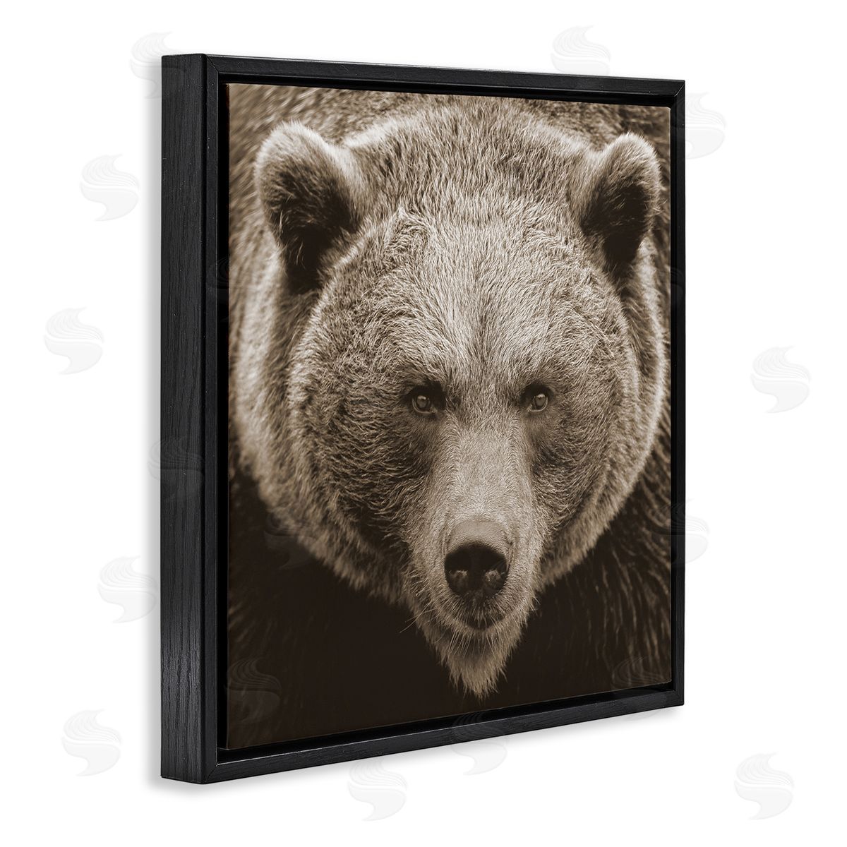 Stupell Studio Brown Bear Wildlife Portrait Black Floating Frame Canvas Wall Art Print