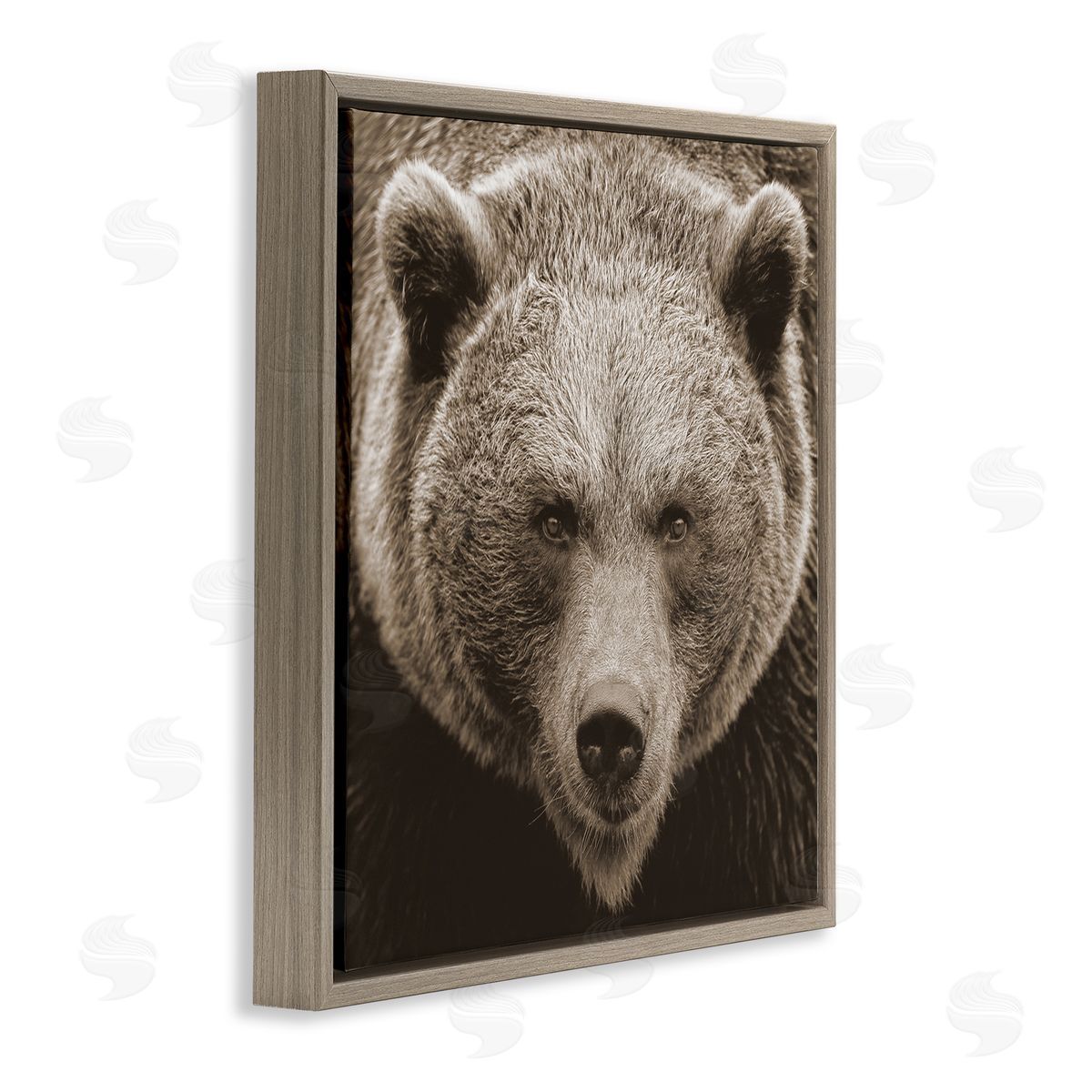 Stupell Studio Brown Bear Wildlife Portrait Brown Floating Frame Canvas Wall Art Print