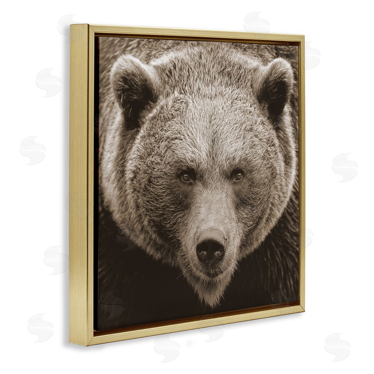 Stupell Studio Brown Bear Wildlife Portrait Gold Floating Frame Canvas Wall Art Print
