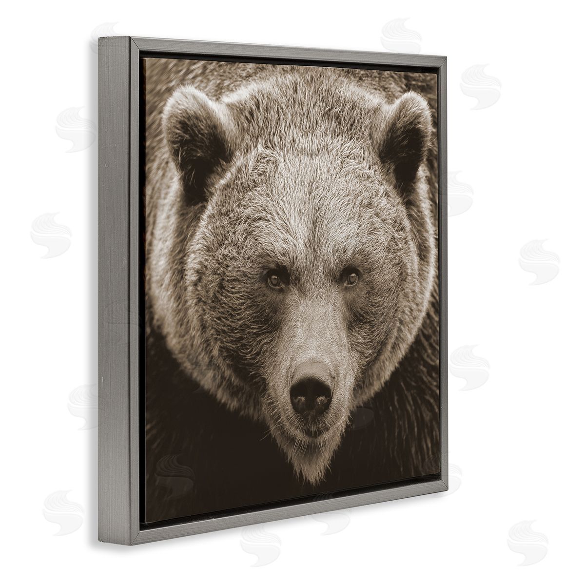 Stupell Studio Brown Bear Wildlife Portrait Gray Floating Frame Canvas Wall Art Print