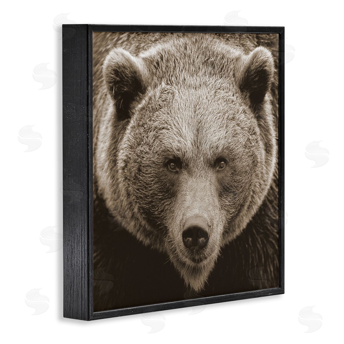 Stupell Studio Brown Bear Wildlife Portrait Black Framed Glicee Wall Art Print