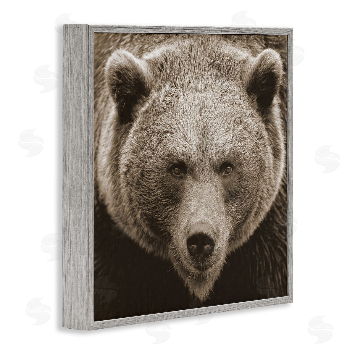 Stupell Studio Brown Bear Wildlife Portrait Gray Framed Glicee Wall Art Print
