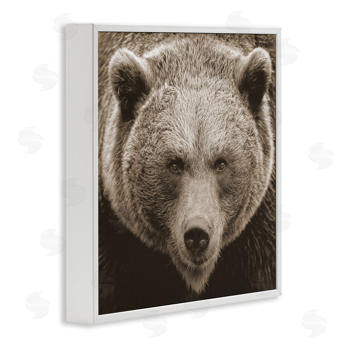 Stupell Studio Brown Bear Wildlife Portrait White Framed Glicee Wall Art Print
