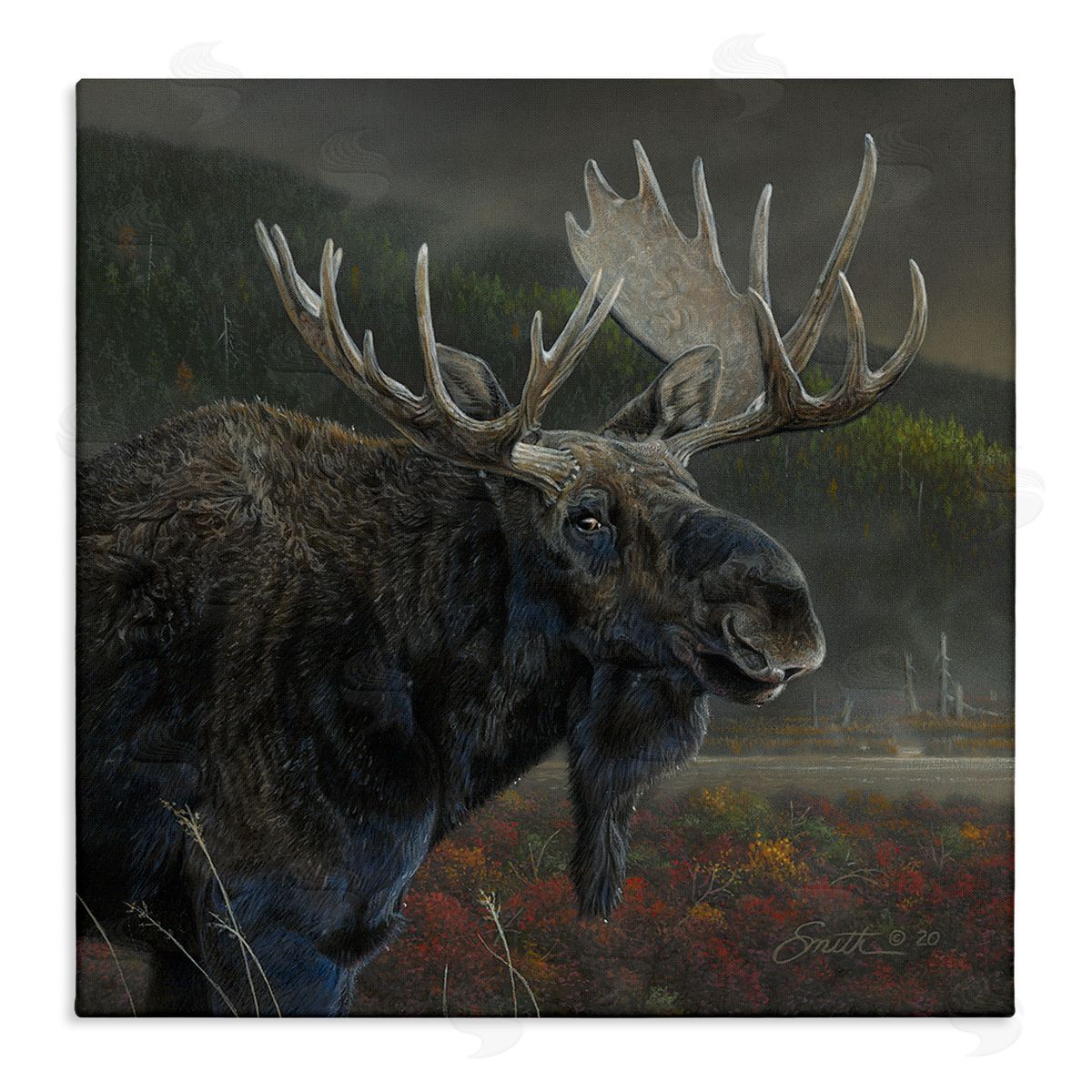 Daniel Smith Moose Dark Forest Landscape Stretched Canvas Wall Art Print