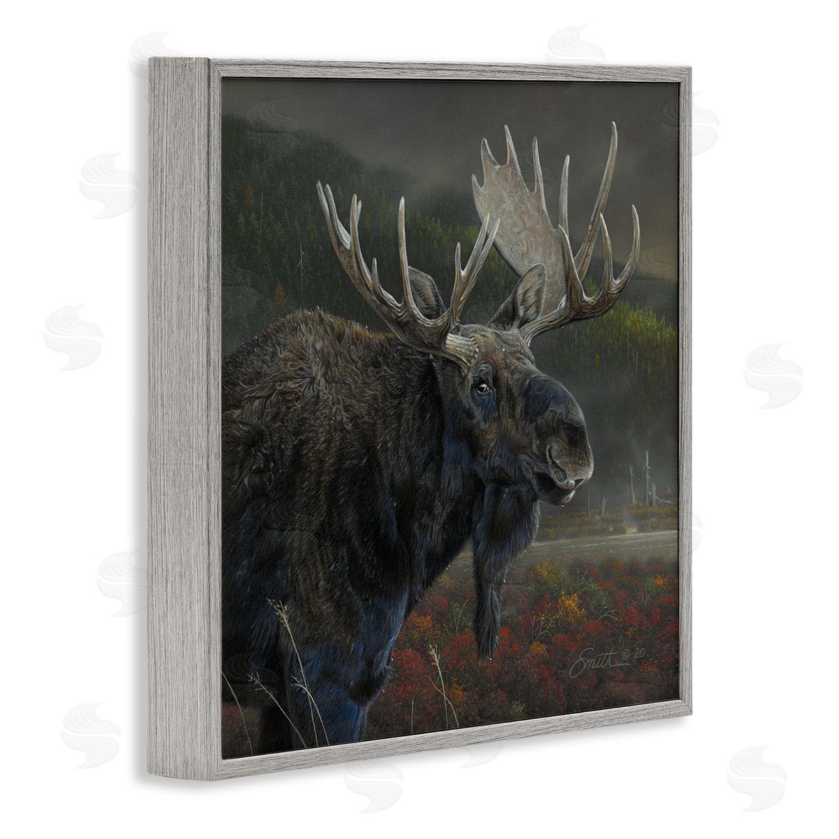 Daniel Smith Moose Dark Forest Landscape Gray Framed Glicee Wall Art Print