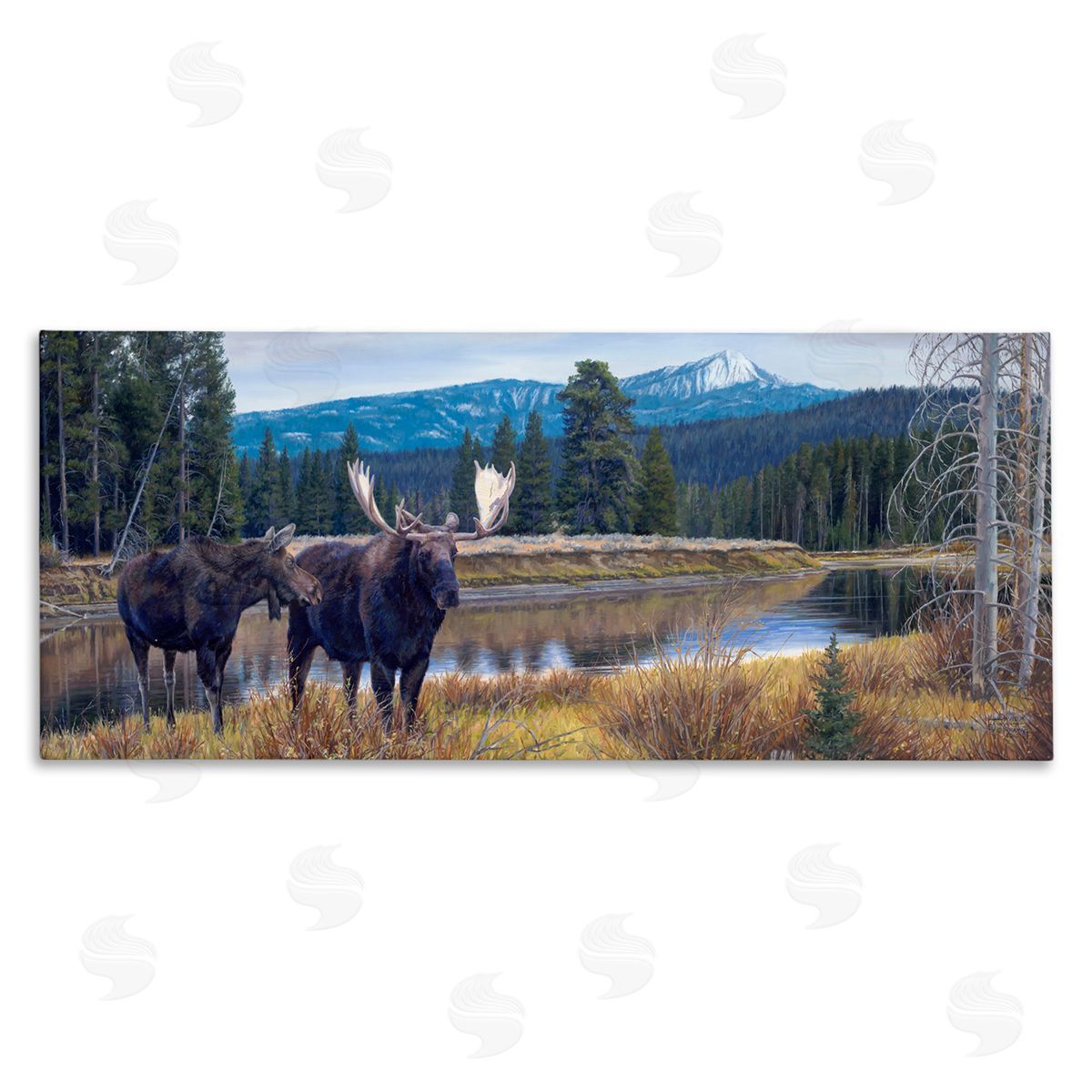 David Graham Moose in River Mountain Scene Stretched Canvas Wall Art Print