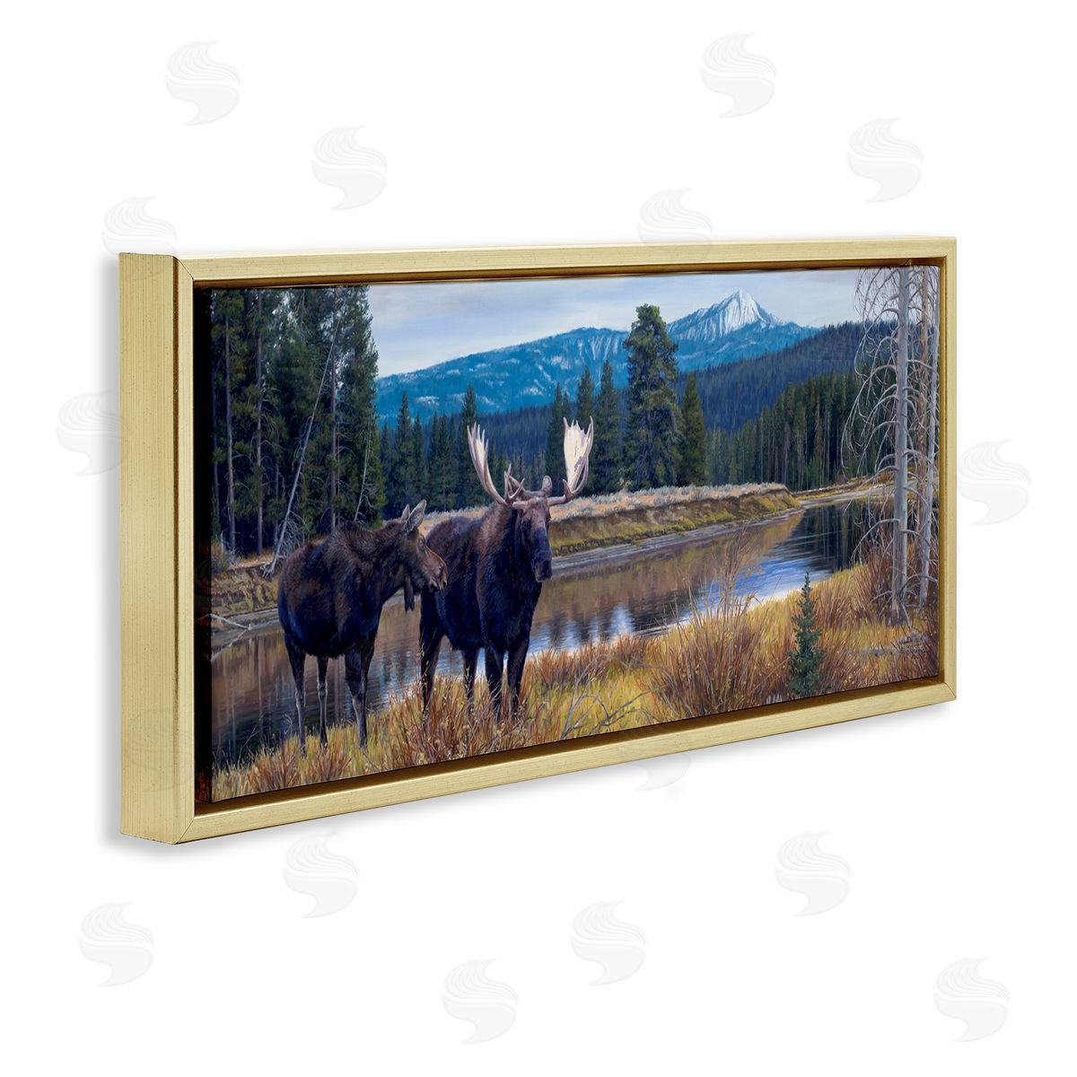 David Graham Moose in River Mountain Scene Gold Floating Frame Canvas Wall Art Print