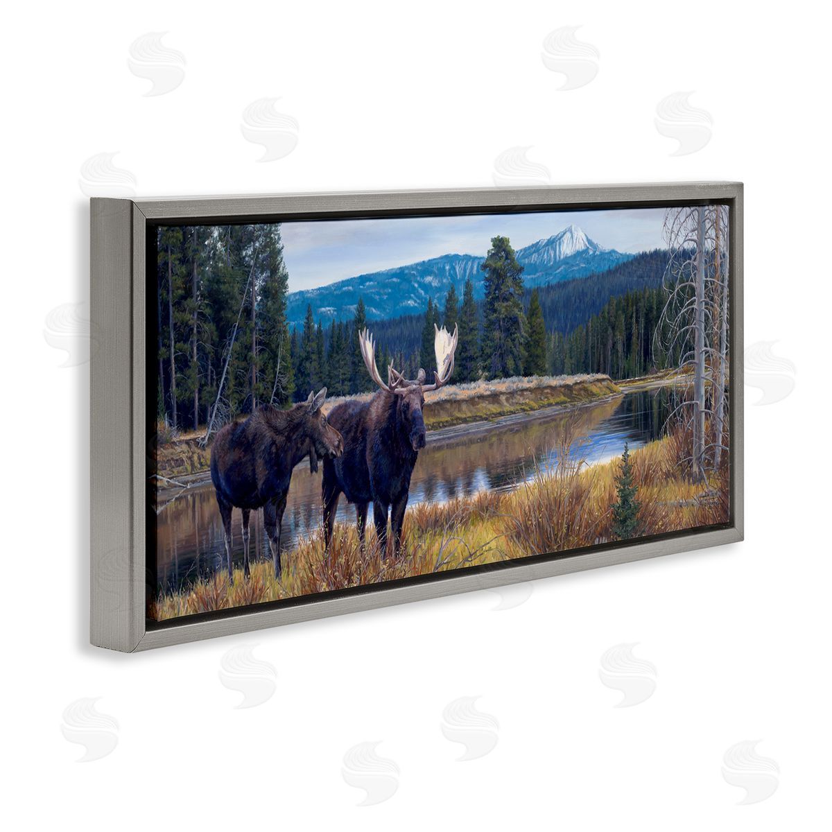 David Graham Moose in River Mountain Scene Gray Floating Frame Canvas Wall Art Print