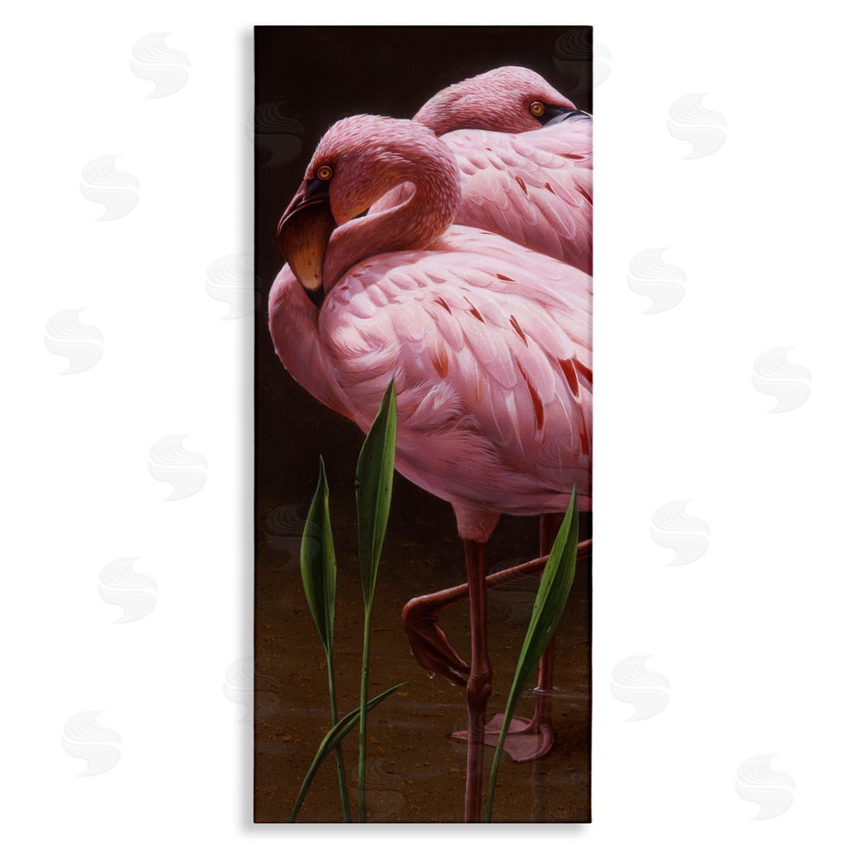 Daniel Smith Two Flamingos Pond Nature  Stretched Canvas Wall Art Print