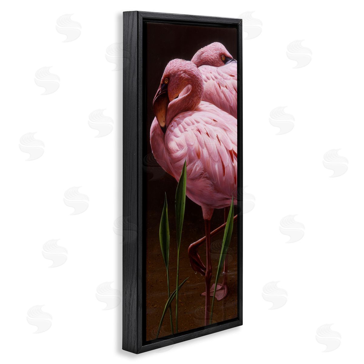 Daniel Smith Two Flamingos Pond Nature  Black Floating Frame Canvas Wall Art Print