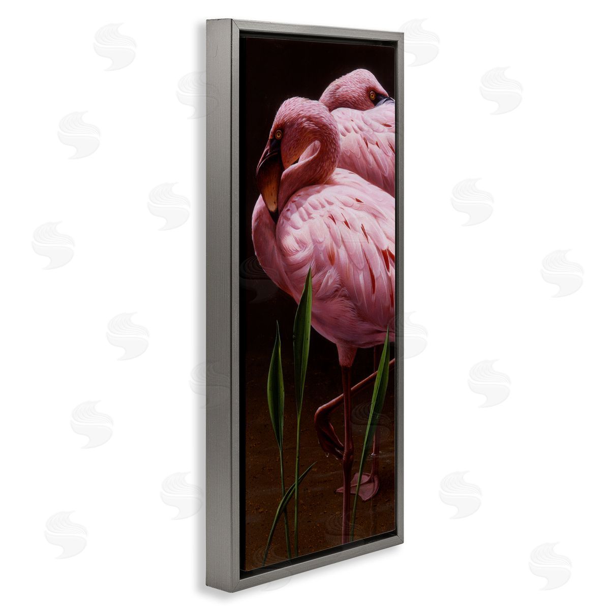 Daniel Smith Two Flamingos Pond Nature  Gray Floating Frame Canvas Wall Art Print