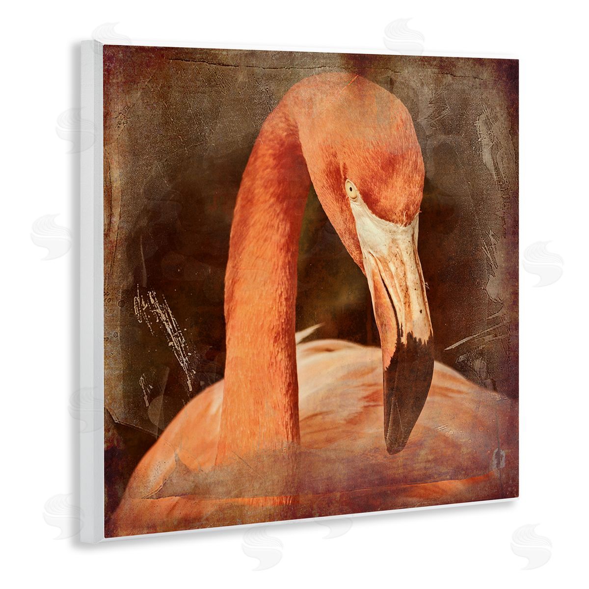 Graffitee Studios Vintage Flamingo Animal Portrait Wooden Wall Plaque Art Print
