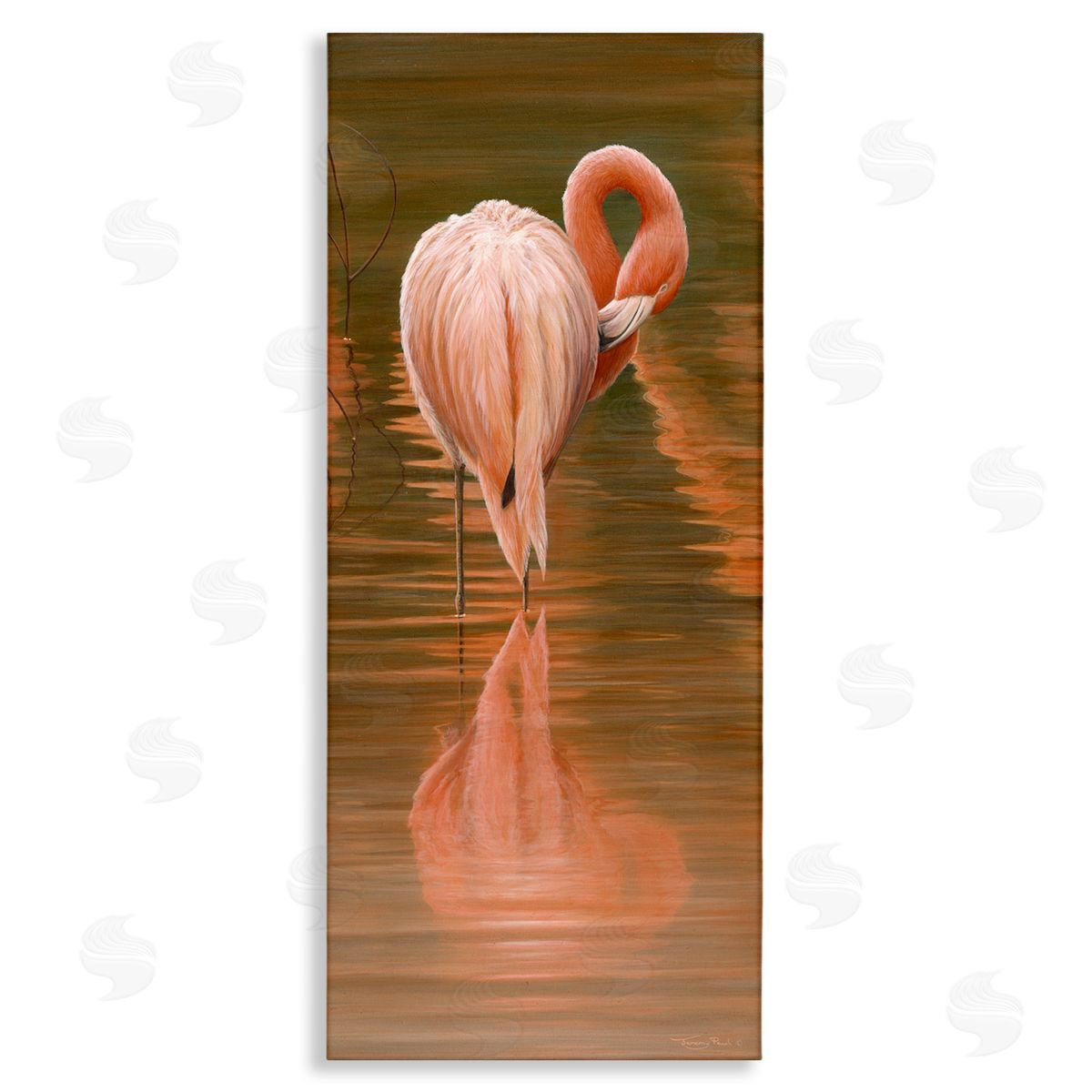 Jeremy Paul Flamingo Preening Water Reflection Stretched Canvas Wall Art Print