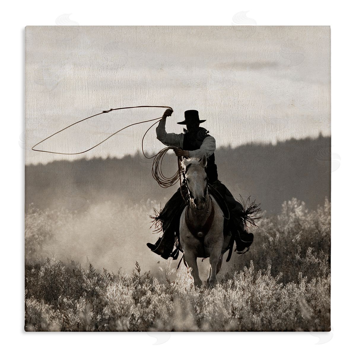 Danita Delimont Cowboy Lasso Western Photography Stretched Canvas Wall Art Print