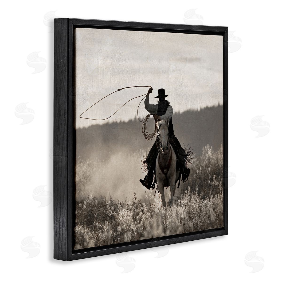 Danita Delimont Cowboy Lasso Western Photography Black Floating Frame Canvas Wall Art Print