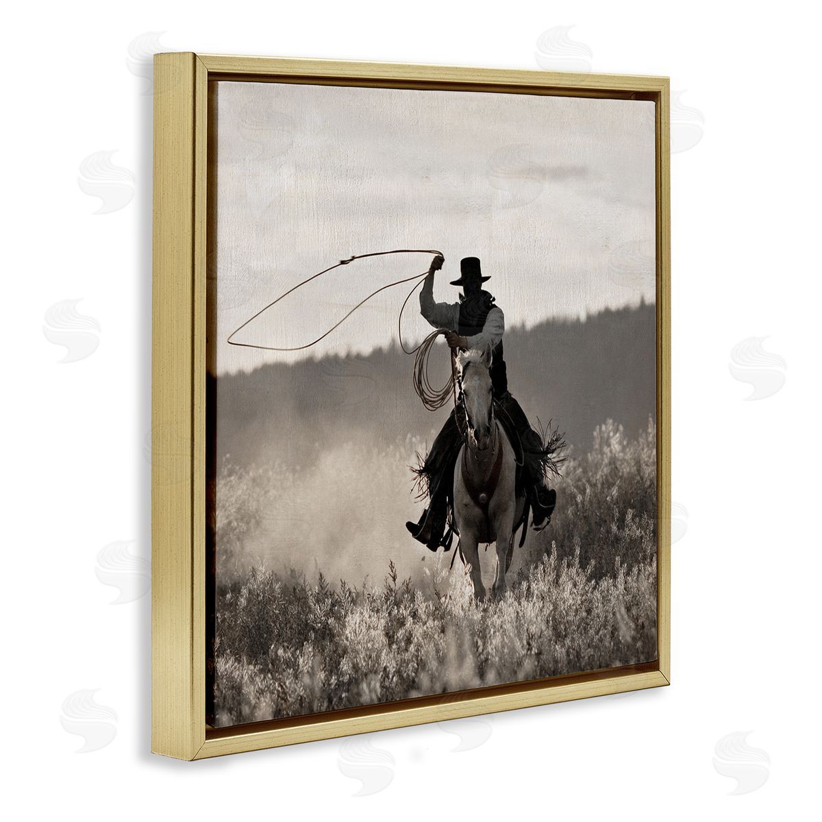 Danita Delimont Cowboy Lasso Western Photography Gold Floating Frame Canvas Wall Art Print