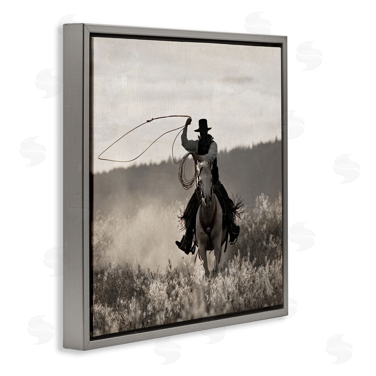 Danita Delimont Cowboy Lasso Western Photography Gray Floating Frame Canvas Wall Art Print