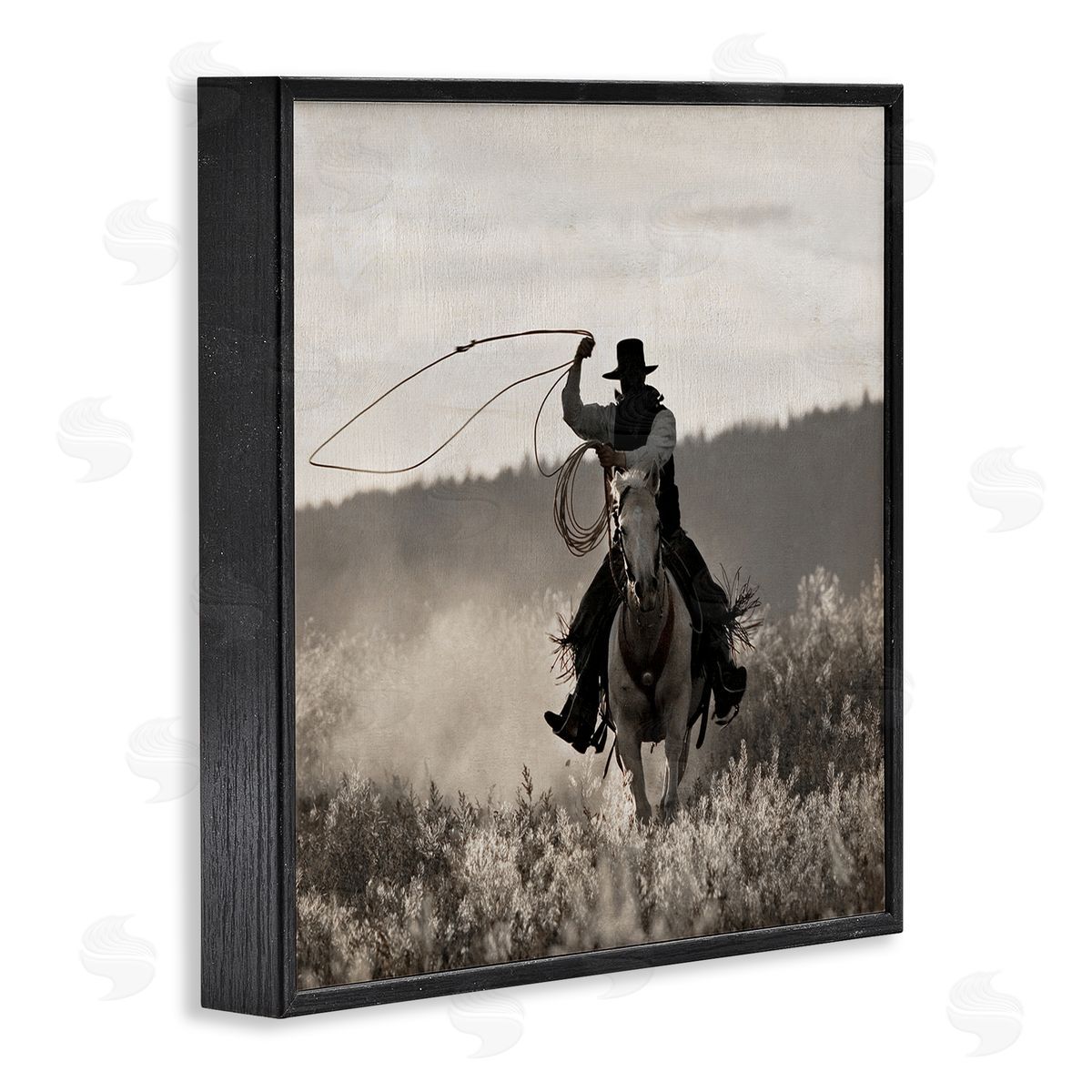 Danita Delimont Cowboy Lasso Western Photography Black Framed Glicee Wall Art Print