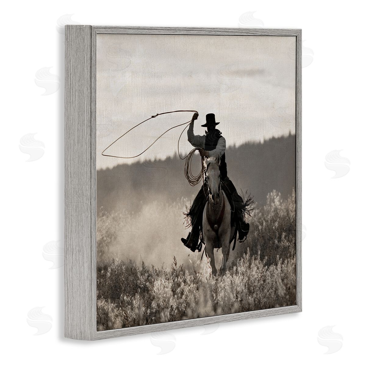 Danita Delimont Cowboy Lasso Western Photography Gray Framed Glicee Wall Art Print