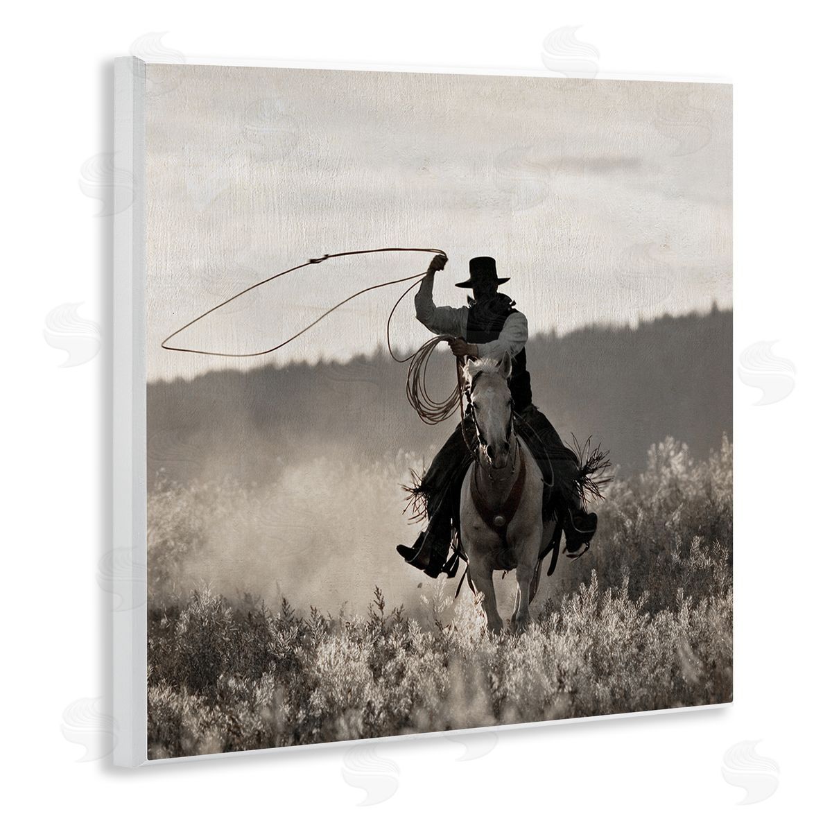Danita Delimont Cowboy Lasso Western Photography Wooden Wall Plaque Art Print