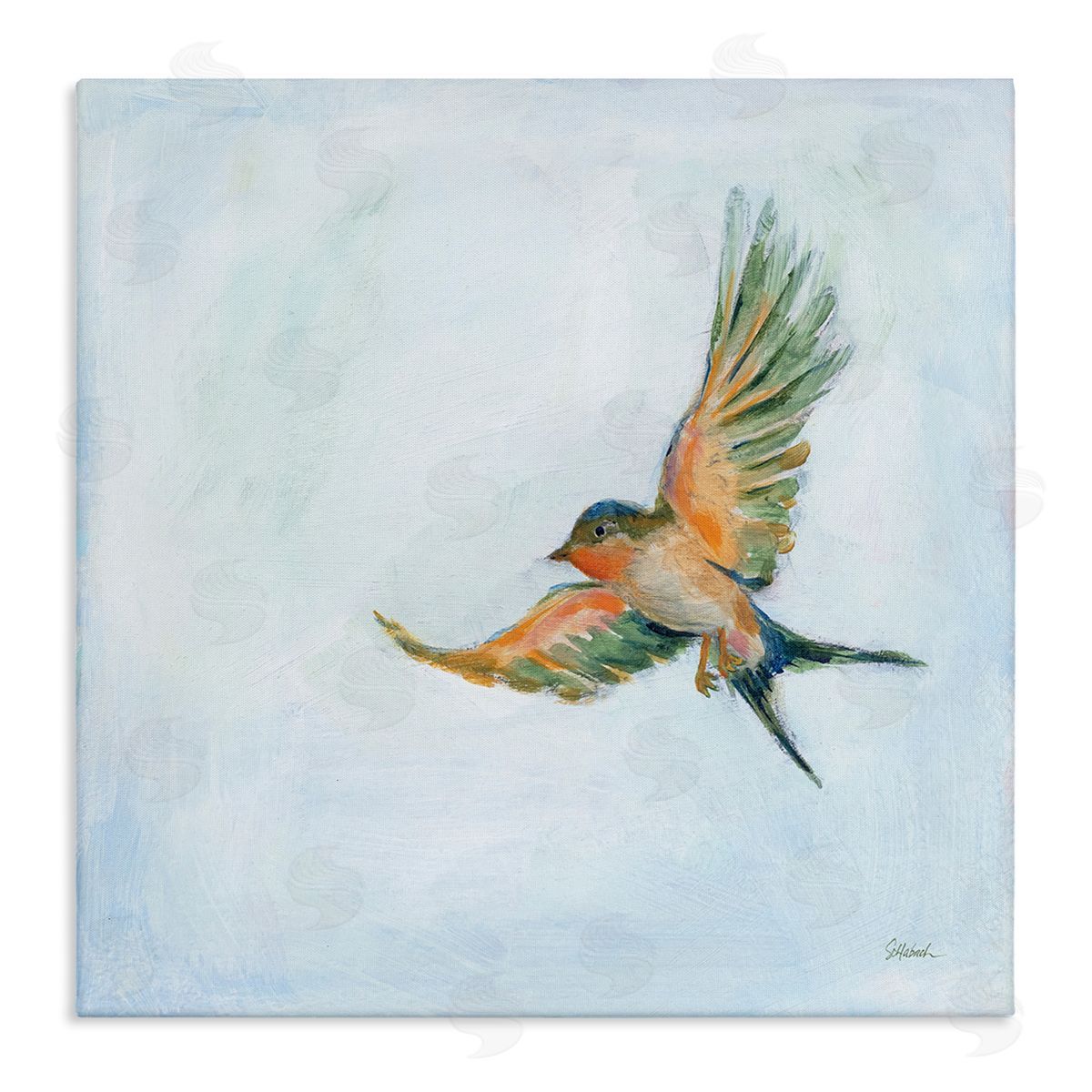 Sue Schlabach Flying Hummingbird Painting Stretched Canvas Wall Art Print