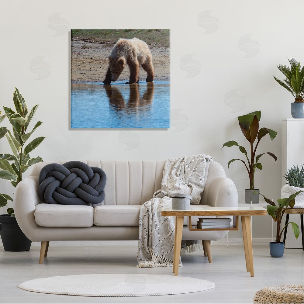Lena Owens Grizzly Cub in Stream Canvas Wall Art in Room