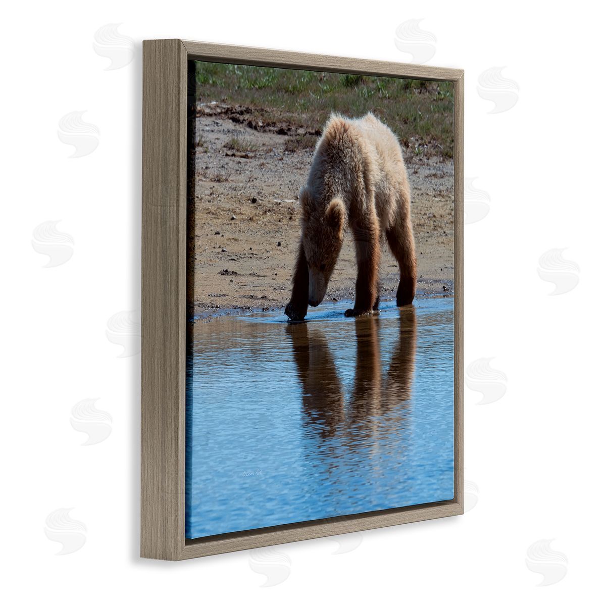 Lena Owens Grizzly Cub in Stream Brown Floating Frame Canvas Wall Art Print
