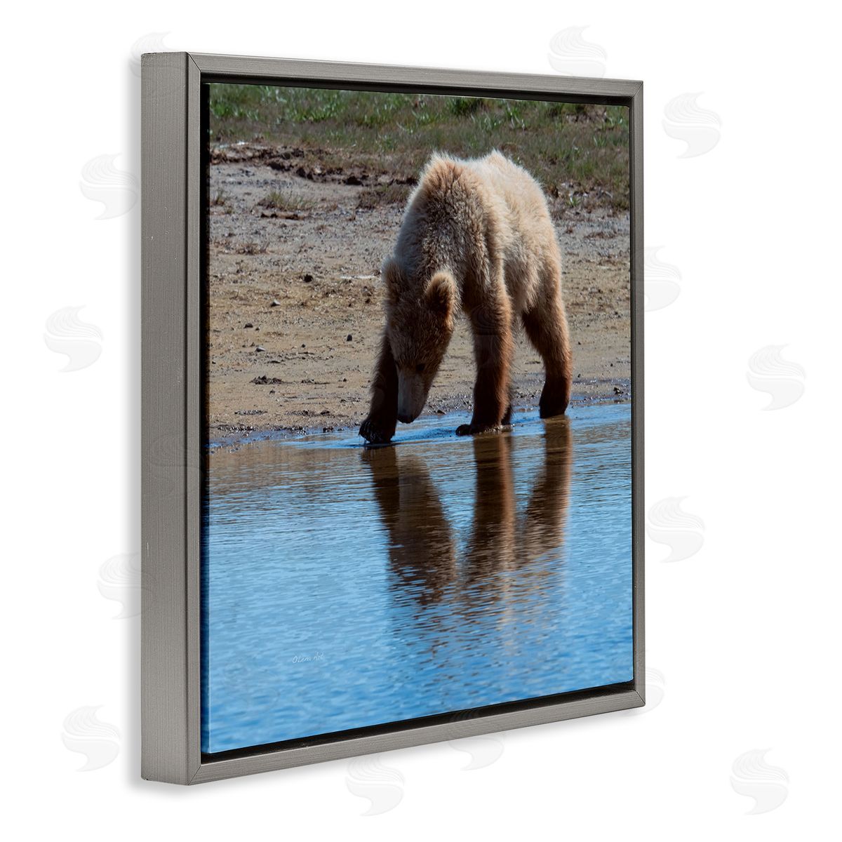 Lena Owens Grizzly Cub in Stream Gray Floating Frame Canvas Wall Art Print