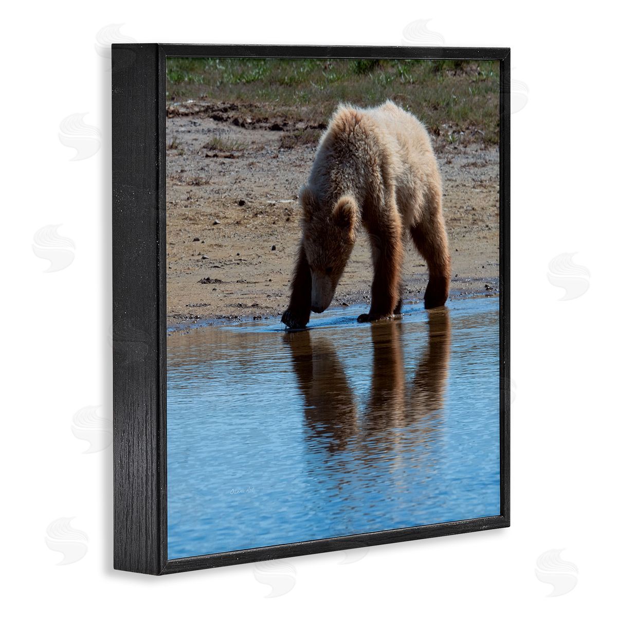 Lena Owens Grizzly Cub in Stream Black Framed Glicee Wall Art Print