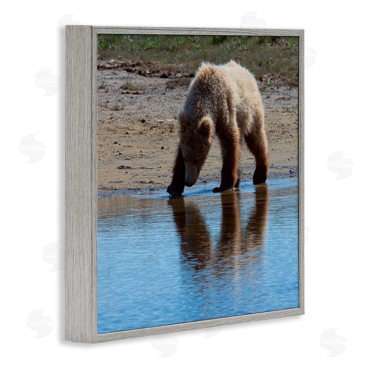 Lena Owens Grizzly Cub in Stream Gray Framed Glicee Wall Art Print