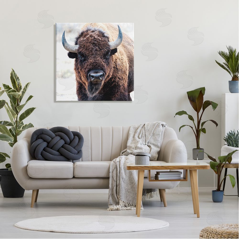 Lena Owens American Bison Photography Canvas Wall Art in Room