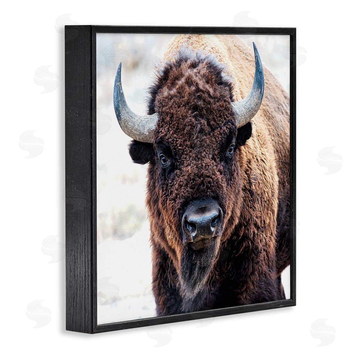 Lena Owens American Bison Photography Black Framed Glicee Wall Art Print
