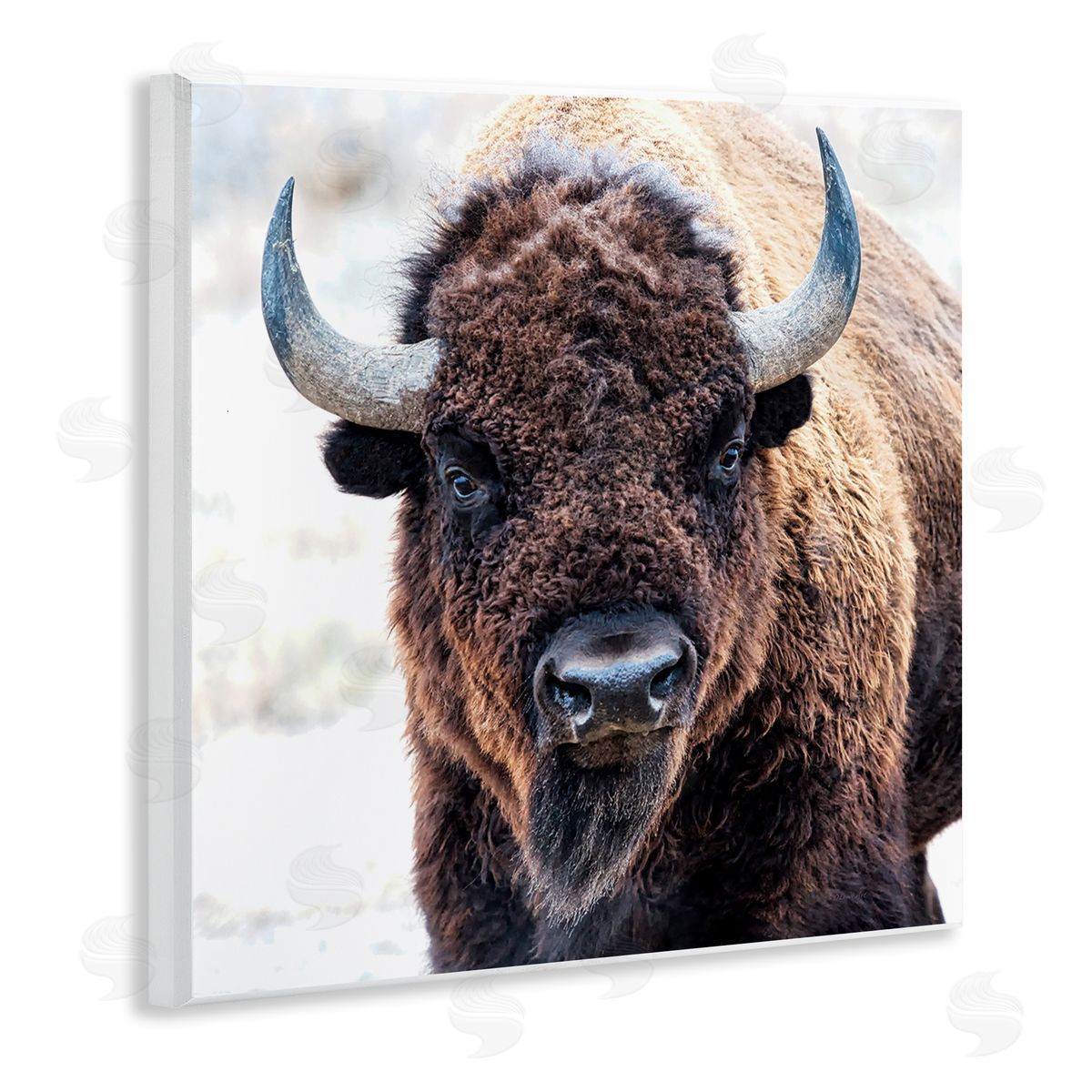 Lena Owens American Bison Photography Wooden Wall Plaque Art Print