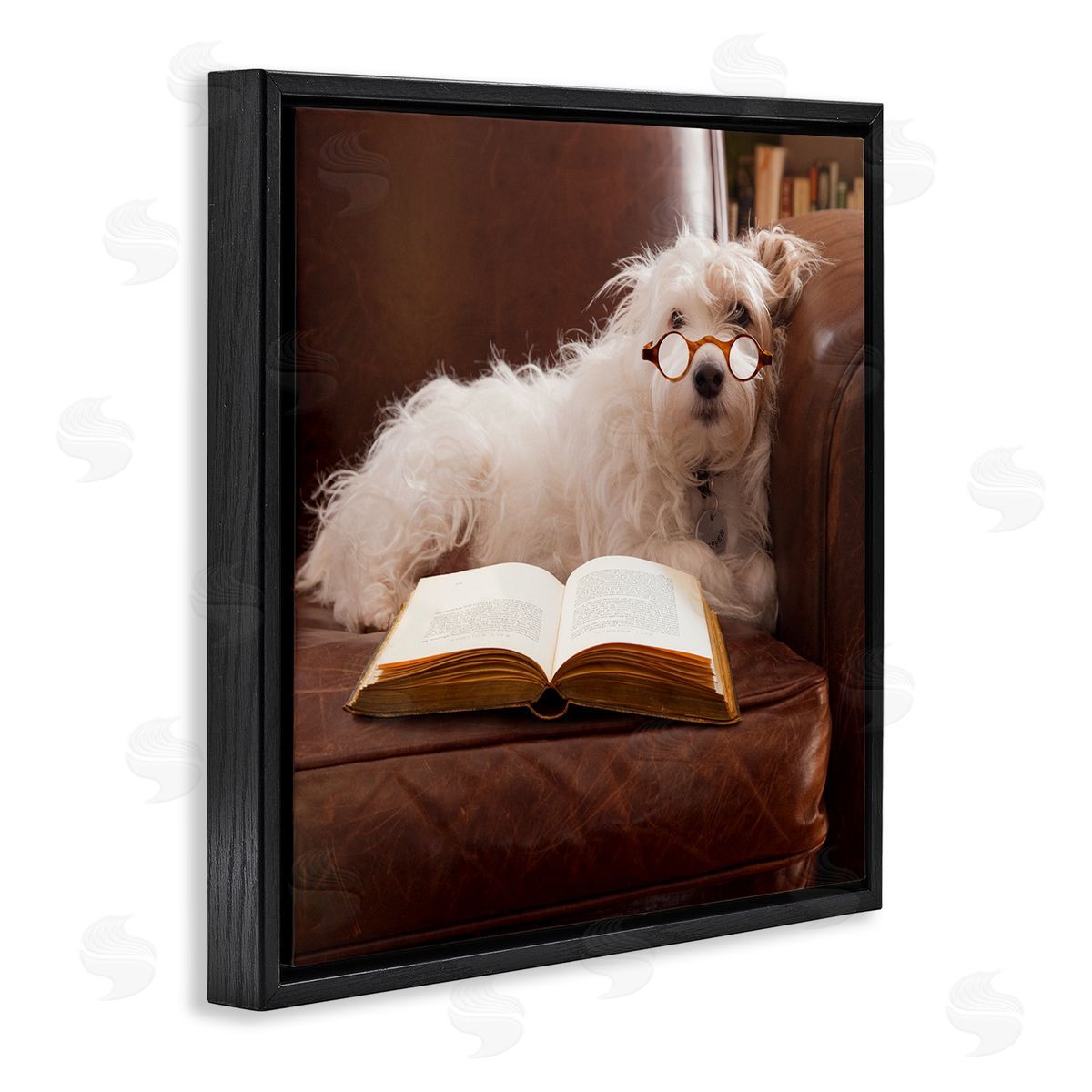 Michael Quackenbush White Dog Reading Book Black Floating Frame Canvas Wall Art Print