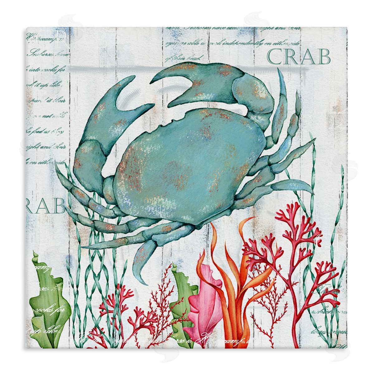 Emma Leach Rustic Crab & Coral Stretched Canvas Wall Art Print