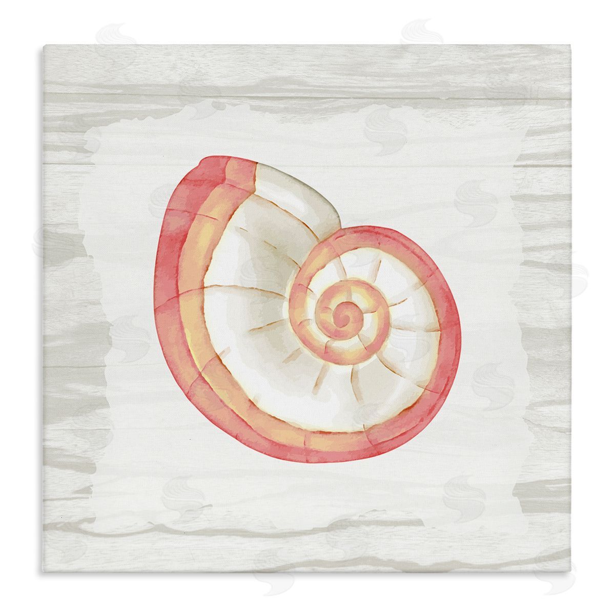 Anne Bailey Patterned Nautilus Shell Stretched Canvas Wall Art Print