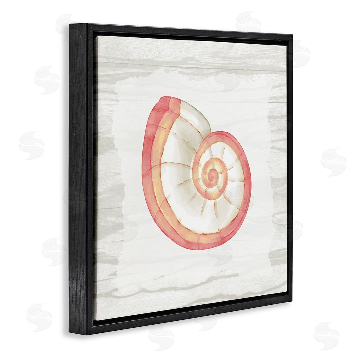 Anne Bailey Patterned Nautilus Shell Black Floating Frame Canvas Wall Art Print