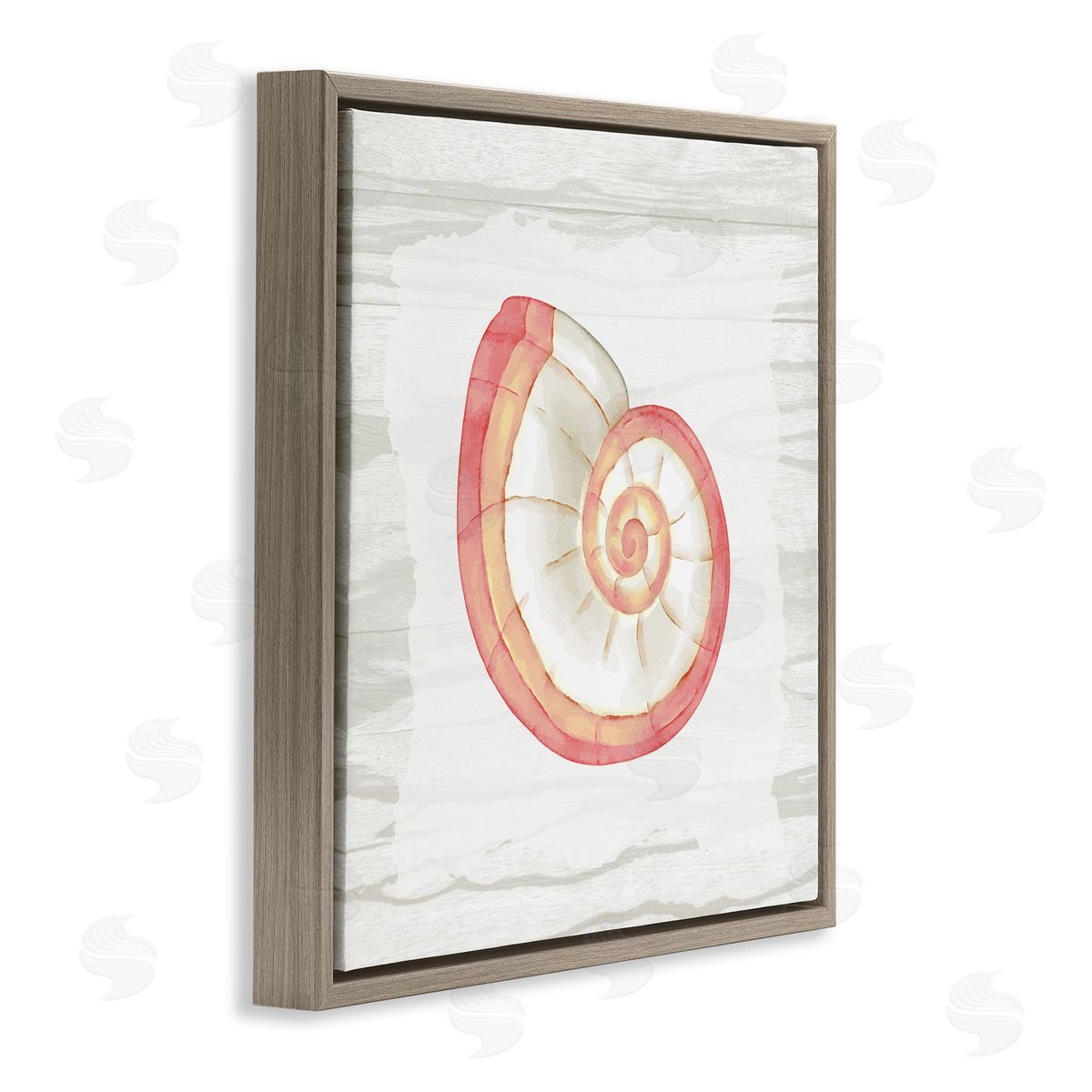 Anne Bailey Patterned Nautilus Shell Brown Floating Frame Canvas Wall Art Print