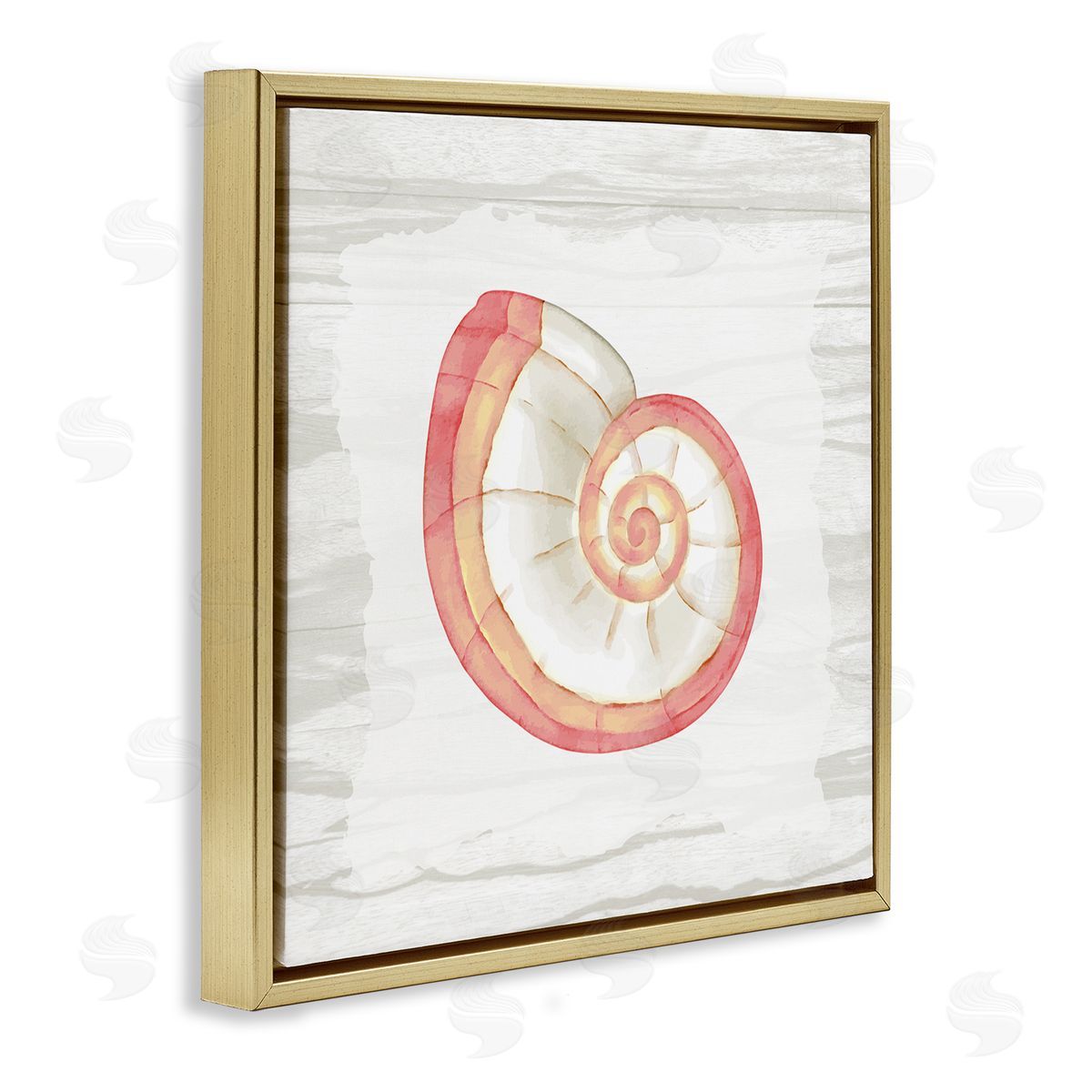 Anne Bailey Patterned Nautilus Shell Gold Floating Frame Canvas Wall Art Print