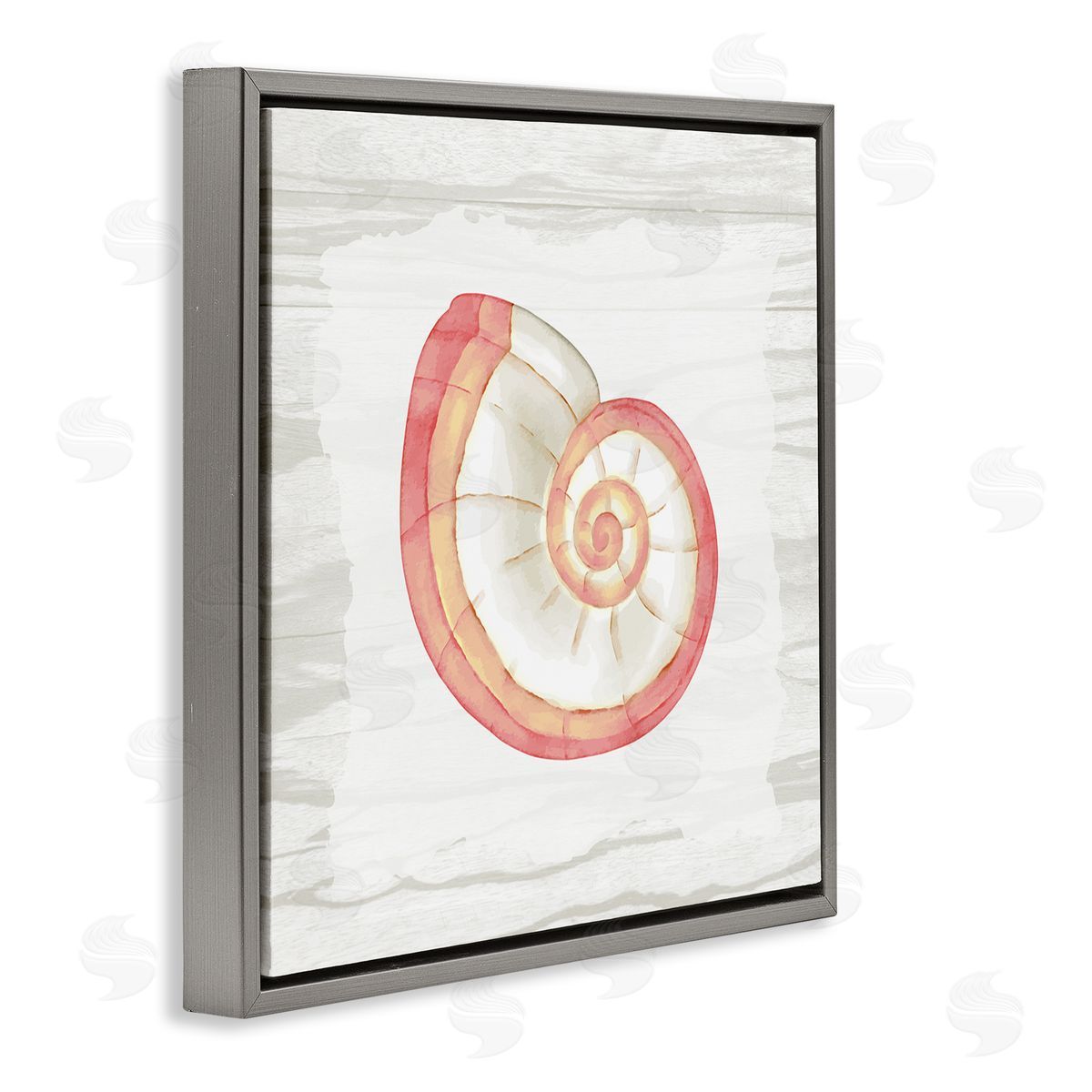Anne Bailey Patterned Nautilus Shell Gray Floating Frame Canvas Wall Art Print