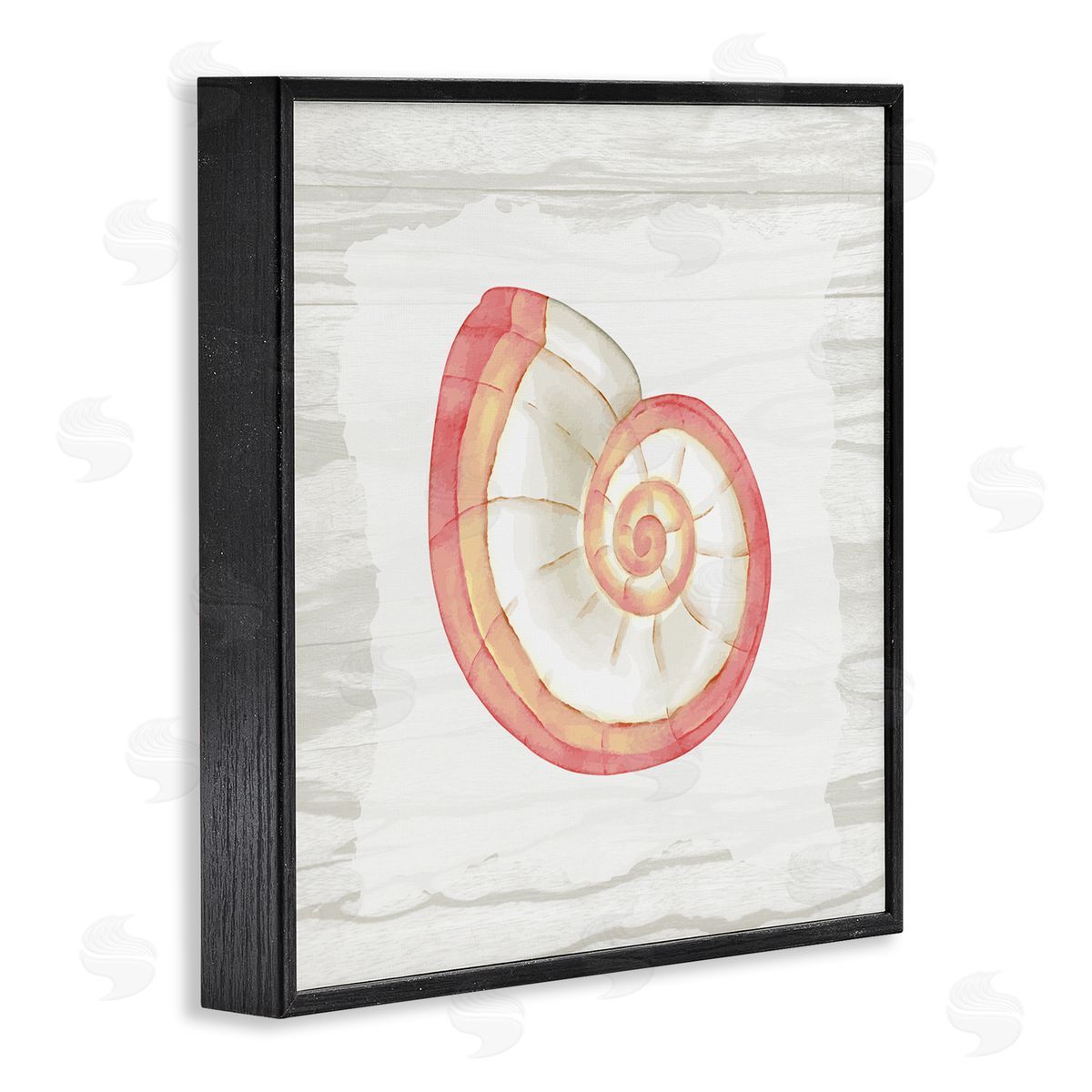 Anne Bailey Patterned Nautilus Shell Black Framed Glicee Wall Art Print