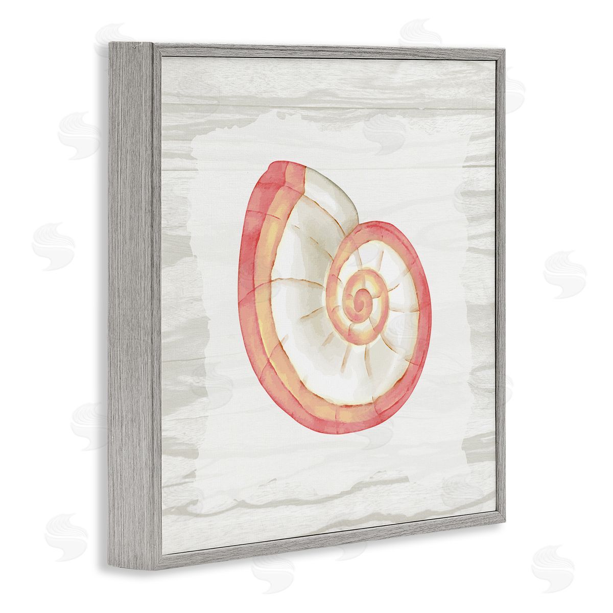 Anne Bailey Patterned Nautilus Shell Gray Framed Glicee Wall Art Print