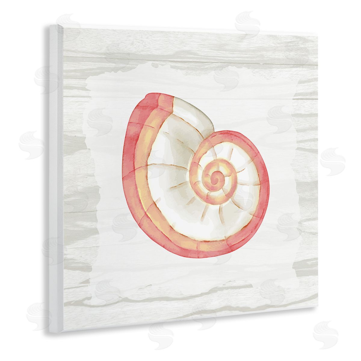 Anne Bailey Patterned Nautilus Shell Wooden Wall Plaque Art Print