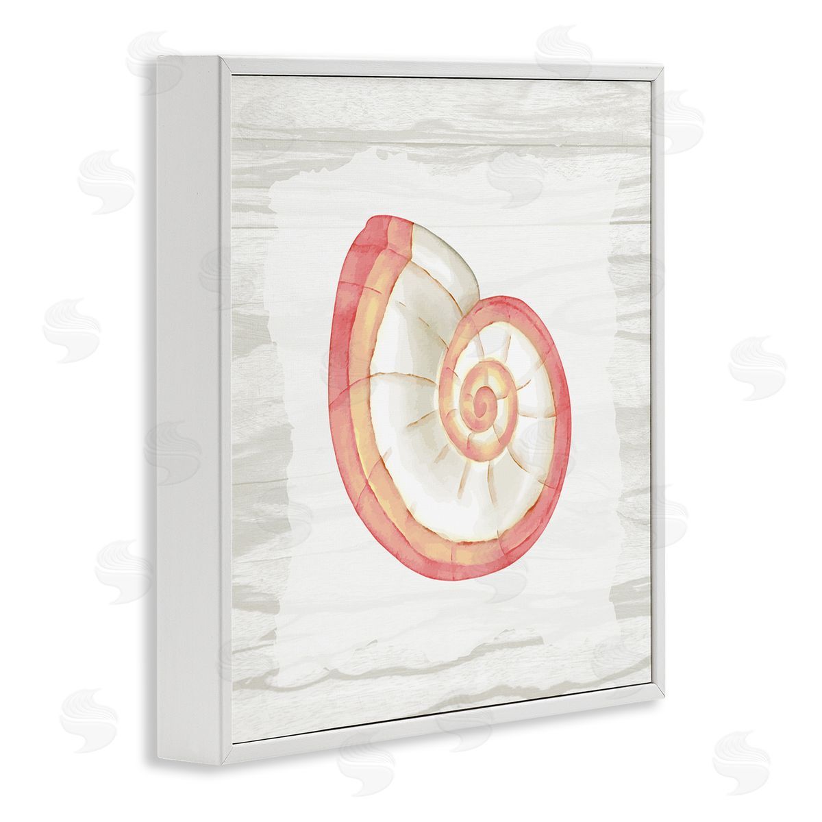 Anne Bailey Patterned Nautilus Shell White Framed Glicee Wall Art Print