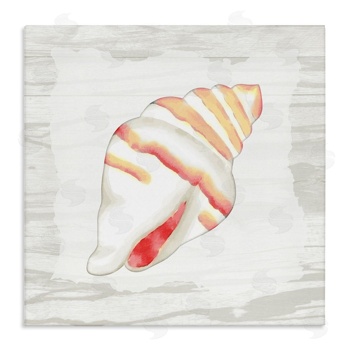 Anne Bailey Conch Shell Patterned Stretched Canvas Wall Art Print