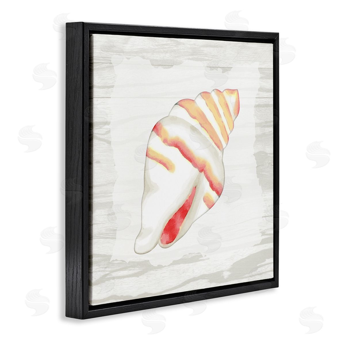 Anne Bailey Conch Shell Patterned Black Floating Frame Canvas Wall Art Print