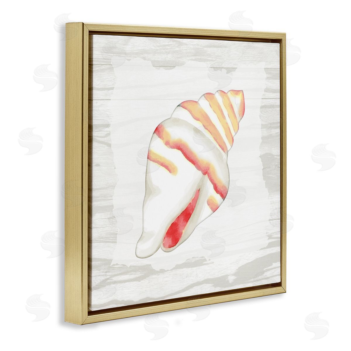 Anne Bailey Conch Shell Patterned Gold Floating Frame Canvas Wall Art Print