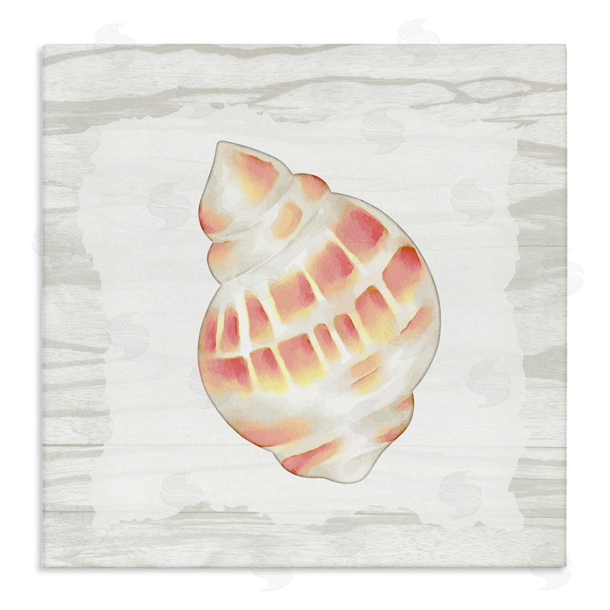 Anne Bailey Pink Rustic Seashell Stretched Canvas Wall Art Print