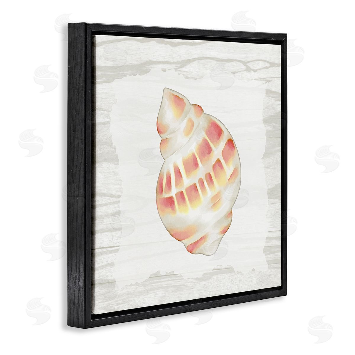 Anne Bailey Pink Rustic Seashell Black Floating Frame Canvas Wall Art Print