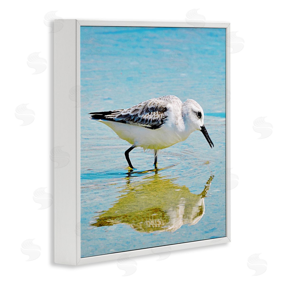 Graffitee Studios Grazing Sandpiper in Water White Framed Glicee Wall Art Print